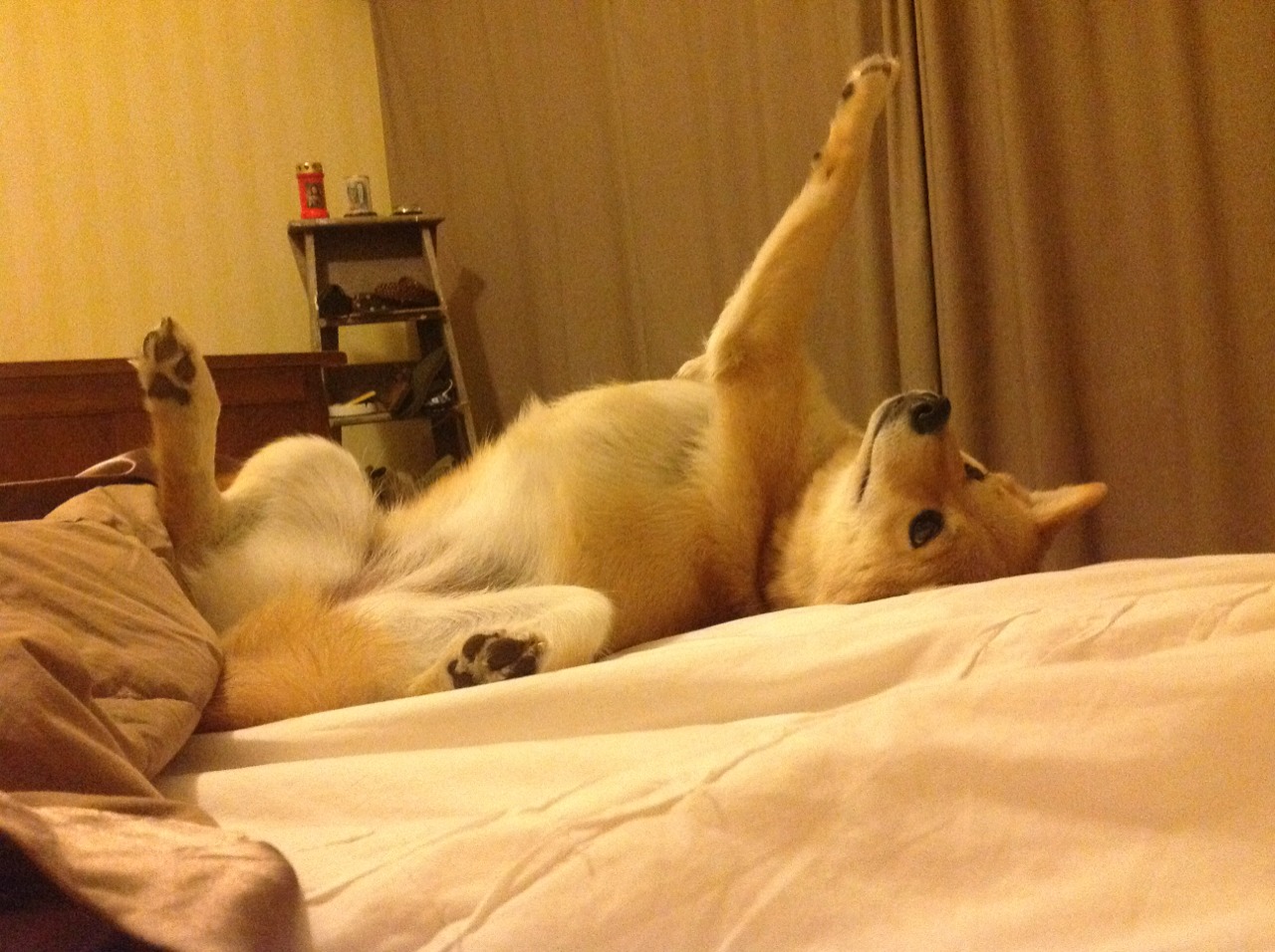 国足比赛失球原因分析，国足怎么失去主场