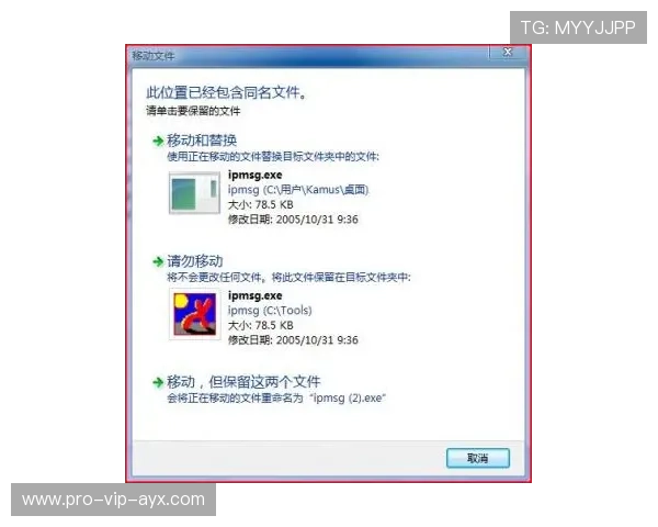 “速度与耐力的对决,SHO-CHAN Run 2025将在香港点燃激情”