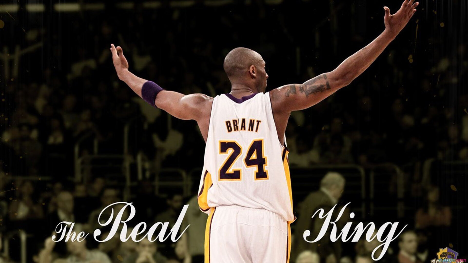 爱游戏app-“南非羚羊队再度显现强大防守力，霍斯特功不可没”